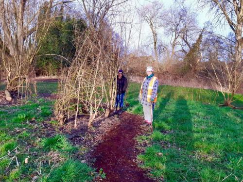 Willow feature, Mill Island