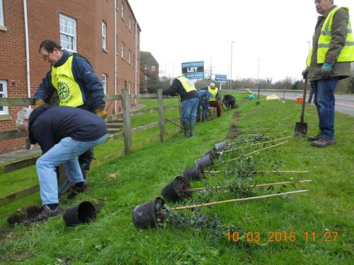 Tree planting, Waterlode
