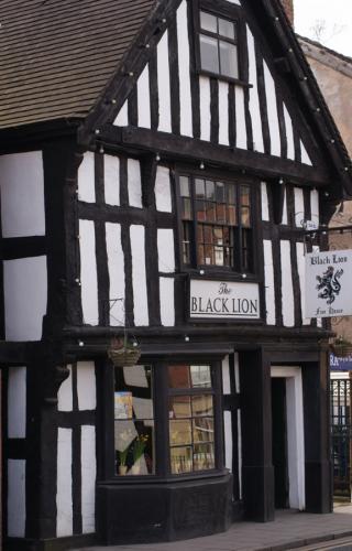 The Black Lion